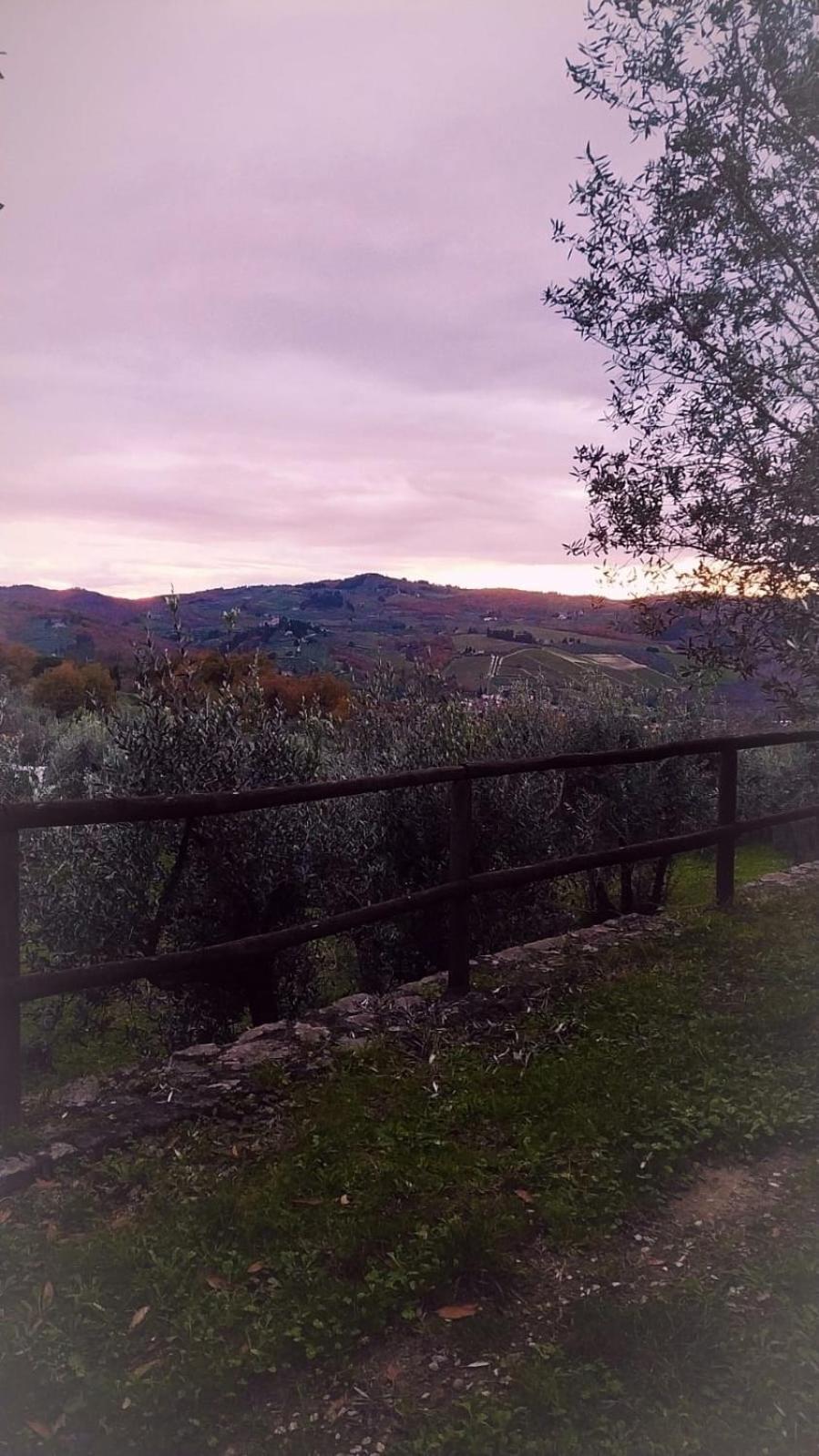 Agriturismo La Camporena Greve in Chianti Exterior photo